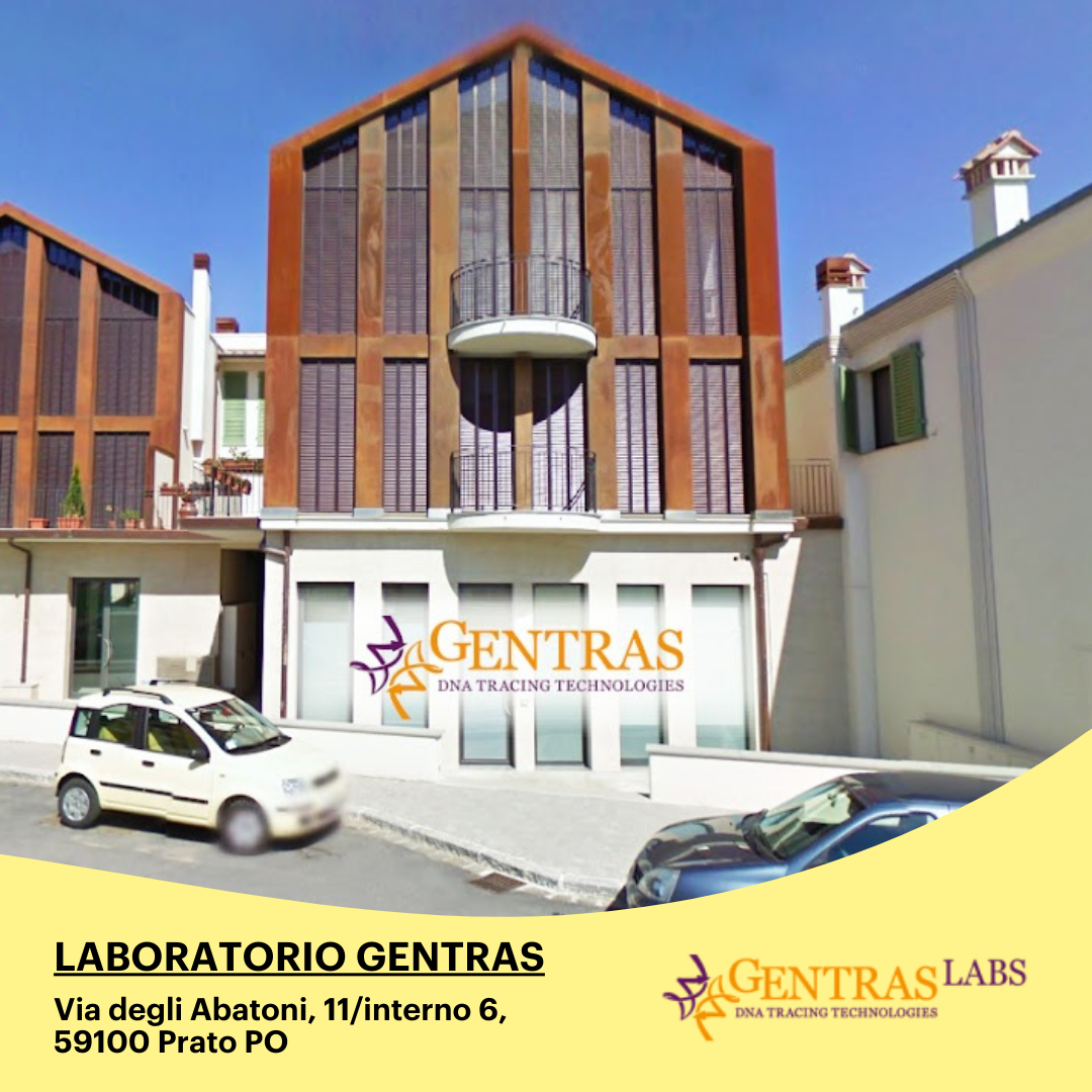 Analisi Laboratorio Gentras